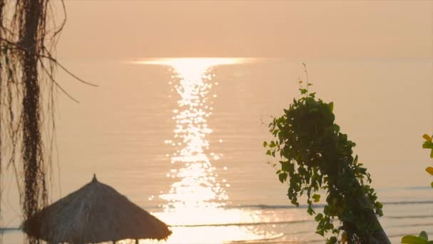 Hermosa puesta de sol en los trópicos en el telón de fondo del océano y hojas de coco. Vista de la puesta de sol a través de las hojas de la palmera de coco en un mar tropical. Concepto Vacaciones, Vacaciones . — Vídeos de Stock