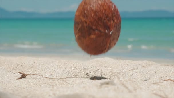Na tropické pláži se blíží vodopád z Palm Tree kokosový ořech, pod horkým letním sluncem, je rozdělen na dvě části podél tropické exotické pobřeží. — Stock video