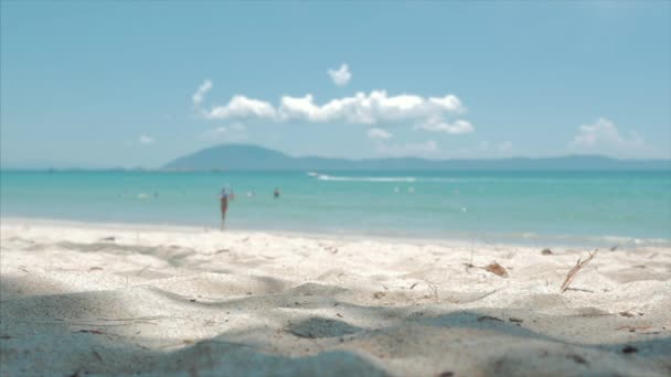 열대 해변 클로즈업 팜 트리 코코넛에서 폭포, 뜨거운 여름 태양 아래, 그것은 열대 이국적인 해안을 따라 두 부분으로 나뉩니다. 소프트 포커스 — 비디오