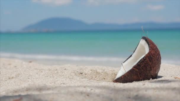 An einem tropischen Strand in Nahaufnahme fällt aus einer Palme Kokosnuss, unter der heißen Sommersonne, es ist in zwei Teile entlang der tropischen exotischen Küste geteilt. — Stockvideo