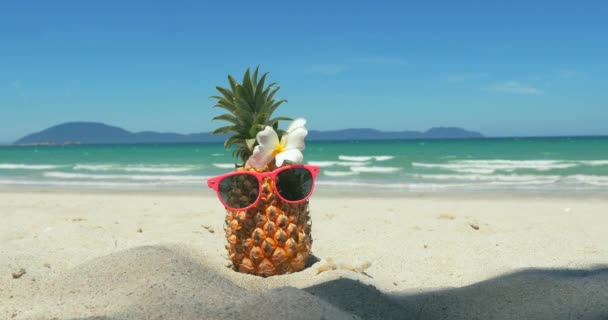 En una playa tropical Primer plano de fruta en gafas de sol bajo el sol caliente del verano a lo largo de la costa exótica tropical, piña en gafas de sol en el fondo del océano. Concepto Tema, Verano, Fiesta, Vacaciones . — Vídeo de stock