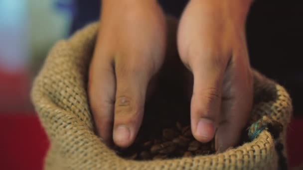 Granos de café. Womens Hands Touch están ganando granos de café de una bolsa de café. La calidad de los granos de café asados en verano . — Vídeo de stock