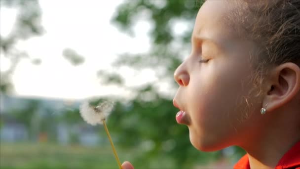 Slow Motion Close-Up Shot of Cute Little Girl Carefree Soffiare un dente di leone all'aperto su un tramonto. Concetto di infanzia senza preoccupazioni felice . — Video Stock