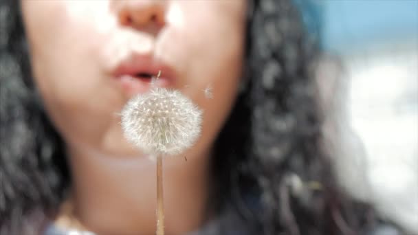 Slow Motion close-up shot van vrouw zorgeloos blazen een paardebloem buitenshuis op een zonsondergang. Concept van gelukkige zorgeloze kindertijd. Zachte focus. — Stockvideo