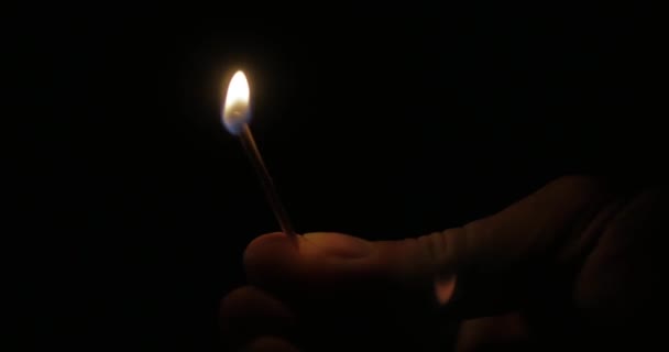 Fire of a Wooden Match in Complete Darkness, Disappears from the Flame on a Black Background, Lighting and Burning Until the End and Finally (en inglés). El partido se enciende, se quema y se apaga . — Vídeos de Stock