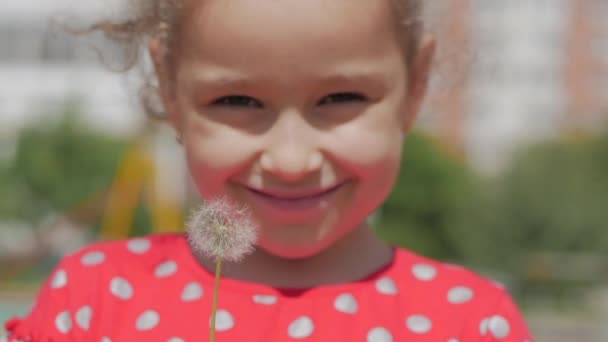 Slow Motion Close-Up Shot of Cute Little Girl Carefree Blowing a Dandelion Outdoors on a Sunset. Concept of Happy Carefree Childhood. 5 in 1 — Stock Video