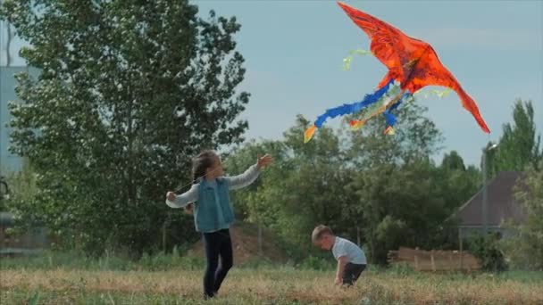 Vue arrière Les enfants jouent avec un cerf-volant, une petite fille et un garçon Laissez un serpent volant dans la prairie. Enfance heureuse et sans soucis . — Video