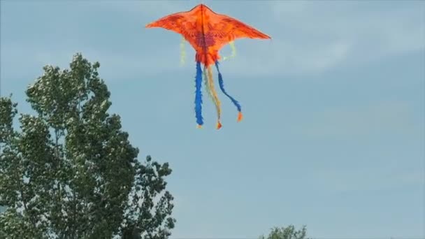 Drachen fliegen im Wind. Zeitlupe. — Stockvideo