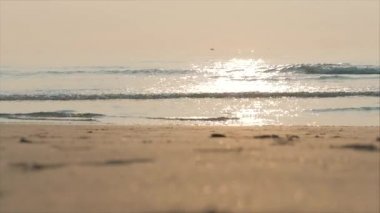Nehrin Arka Planında Tropics Güzel Gün Batımı. Konsept Doğa, Tatil, Relaxe. Yumuşak Odak.