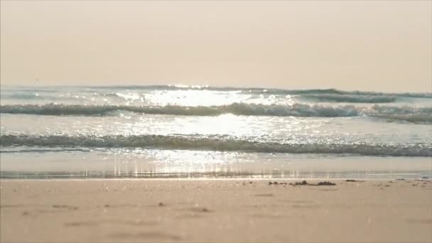 Beau coucher de soleil sous les tropiques sur la toile de fond de la rivière. Concept Nature, vacances, détente. Focus doux . — Video