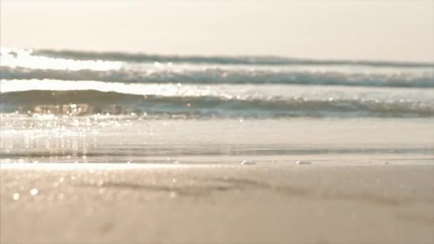 Beau coucher de soleil sous les tropiques sur la toile de fond de la rivière. Concept Nature, vacances, détente. Focus doux . — Video