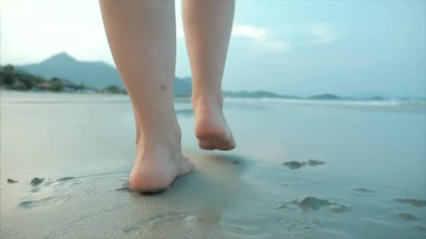 Sur une plage tropicale Belle scène d'une femme marchant sur Ocean Beach au coucher du soleil. Gros plan sur les jambes des femmes Belle brune européenne, Marcher le long de la plage, Mouvement lent . — Video