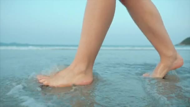 Su una spiaggia tropicale Bella scena di una donna che cammina su Ocean Beach al tramonto. Avvicinamento delle donne Gambe Europeo Bella Bruna, Passeggiando lungo la spiaggia, Lento movimento . — Video Stock