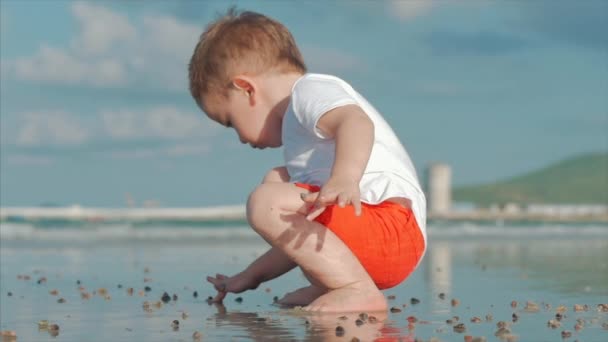 Schattig klein kind speelt in de buurt van de zee, Kid vangsten, beschouwt levende zeeschelpen, krabben, op een tropisch strand tegen de blauwe oceaan. Concept: kinderen, gelukkige kindertijd, zomer, kind, vakantie. Zachte focus — Stockvideo