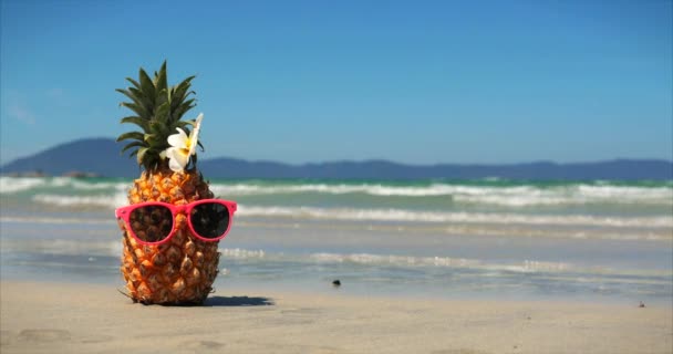Em uma praia tropical Close-Up of Fruit in Sunglasses Under the Hot Summer Sun Ao longo da costa tropical exótica, abacaxi em óculos de sol no fundo do oceano. Conceito Tópico, Verão, Festa, Feriado . — Vídeo de Stock