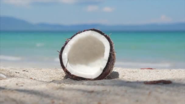 På en tropisk strand närbild faller från en Palm kokosnöt, under den varma sommarsolen, är det uppdelat i två delar längs den tropiska exotiska kusten. — Stockvideo