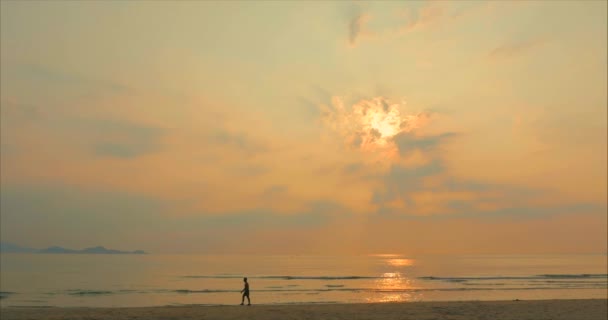 Jovem atleta ir para o comprimento da praia em Sunset Background, Treino de Cardio Intenso Exercício, Fundo tropical, Movimento lento. Conceito de Saúde, Esportes, Treino de Cardio Exercício . — Vídeo de Stock