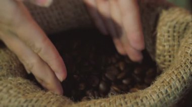 Kahve çekirdekleri. Womens Hands Touch Kahve Bir Çanta Kahve Fasulye kazanıyor. Yaz Aylarında Kavrulmuş Kahve Çekirdeklerinin Kalitesi.