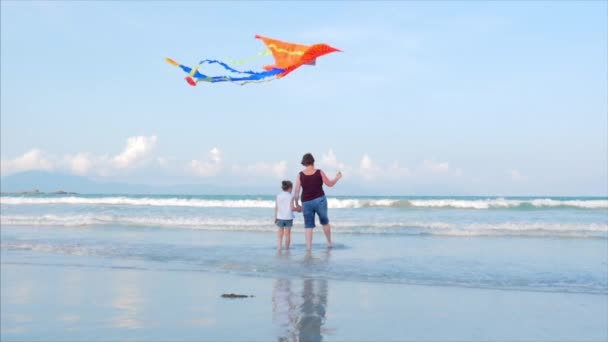 La abuela feliz con el niño la cometa voladora que juega. Enfoque suave. Concepto Infancia feliz y despreocupada . — Vídeos de Stock