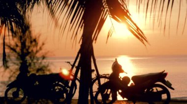Okyanusun ve Hindistan Cevizi Yapraklarının Arka Planında Tropics'te Güzel Gün Batımı. Tropik Bir Denizde Hindistan Cevizi Palmiye Yaprakları ile Gün Batımı Görünümü. Konsept Tatil, Tatil.
