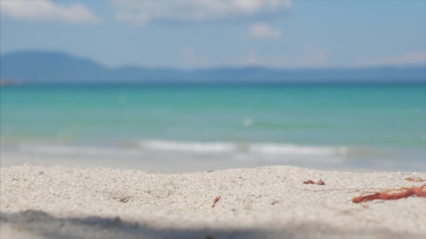 På en tropisk strand närbild faller från en Palm kokosnöt, under den varma sommarsolen, är det uppdelat i två delar längs den tropiska exotiska kusten. — Stockvideo