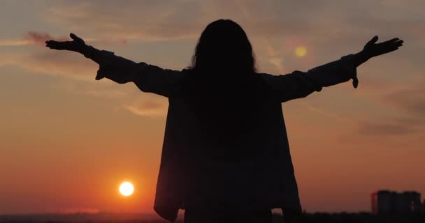 Mujer joven mirando el cielo al atardecer, chica exitosa pensando en la vida en la naturaleza, disfrutando del paisaje Fondo de la naturaleza Disfrutando de la libertad, viajes de ocio . — Vídeo de stock