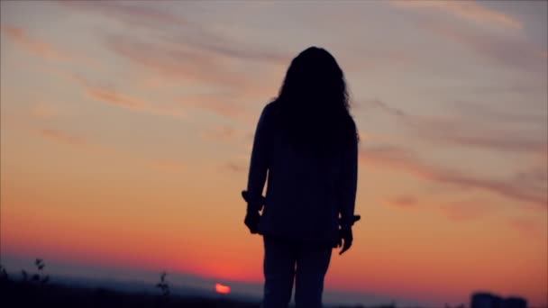 Νεαρή γυναίκα κοιτάζοντας τον ουρανό στο Sunset, επιτυχημένη κορίτσι σκέψης για τη ζωή στη φύση, απολαμβάνοντας το τοπίο της φύσης φόντο απολαμβάνοντας την ελευθερία, ταξίδια αναψυχής. — Αρχείο Βίντεο