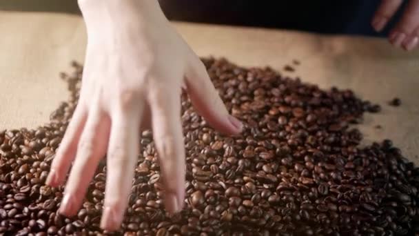 Granos de café. Manos dispersas granos de café. Las manos de mujer tocan granos de café. Calidad del grano tostado en mosca de café. 4k . — Vídeo de stock