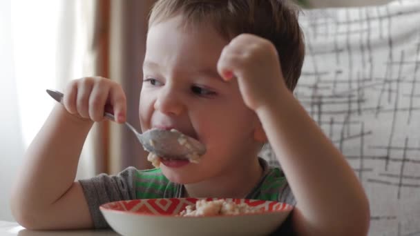 Милый маленький ребенок один ест кашу ложкой из тарелки, концепция здорового питания . — стоковое видео
