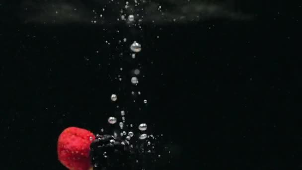 Frische Himbeeren mit Blaubeeren und frischen Minzblättern fallen auf schwarzem Grund ins Wasser und plätschern vor schwarzem Hintergrund. Frische Früchte und Beeren ins Wasser fallen lassen. gesunde Ernährung, langsam — Stockvideo