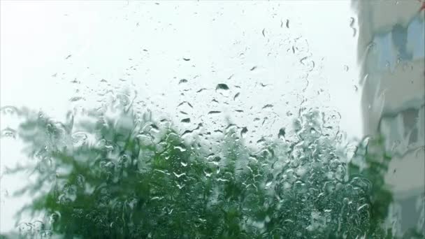 Des gouttes de pluie sur la vitre, des bâtiments en arrière-plan. Vue de la fenêtre de la maison, temps orageux, vent fort, forte pluie. Gouttes de pluie sur une vitre, bâtiments en arrière-plan . — Video