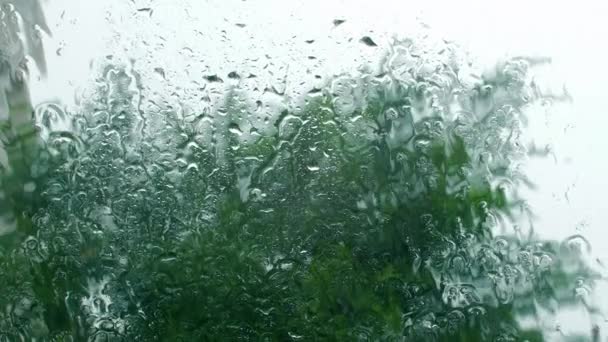 Des gouttes de pluie sur la vitre, des bâtiments en arrière-plan. Vue de la fenêtre de la maison, temps orageux, vent fort, forte pluie. Gouttes de pluie sur une vitre, bâtiments en arrière-plan . — Video