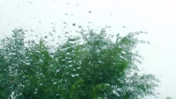 Des gouttes de pluie sur la vitre, des bâtiments en arrière-plan. Vue de la fenêtre de la maison, temps orageux, vent fort, forte pluie. Gouttes de pluie sur une vitre, bâtiments en arrière-plan . — Video