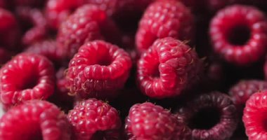 Berry'yi kapat. Taze, Sulu Ahududu Arka Plan, Olgun. Makro Kırmızı Ahududu Meyve. Gıda Dackground olarak Taze Ahududu Meyveler. Sağlıklı Gıda Organik Beslenme.