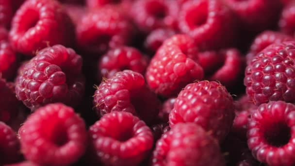 Close Up Berry. Fondo fresco y jugoso de frambuesa, maduro. Macro Red Raspberries Fruit. Frutas frescas de frambuesa como alimento Dackground. Alimento saludable Nutrición ecológica . — Vídeos de Stock