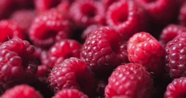 Berry'yi kapat. Taze, Sulu Ahududu Arka Plan, Olgun. Makro Kırmızı Ahududu Meyve. Gıda Dackground olarak Taze Ahududu Meyveler. Sağlıklı Gıda Organik Beslenme.