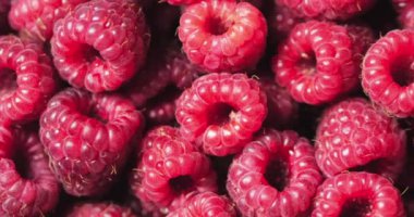 Yakın Rotasyon Loopable Berry. Taze, Sulu Ahududu Arka Plan, Olgun. Makro Kırmızı Ahududu Meyve. Gıda Dackground olarak Taze Ahududu Meyveler. Sağlıklı Gıda Organik Beslenme.