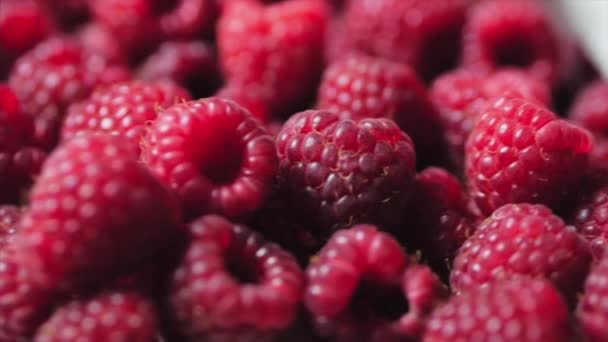 Close Up Berry. Fondo fresco y jugoso de frambuesa, maduro. Macro Red Raspberries Fruit. Frutas frescas de frambuesa como alimento Dackground. Alimento saludable Nutrición ecológica . — Vídeo de stock