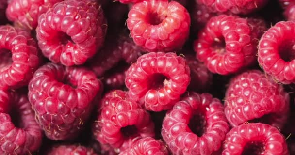 特写旋转可循环浆果。新鲜，多汁的树莓背景，成熟。宏红树莓水果。新鲜树莓水果作为食物达克地面。健康食品有机营养. — 图库视频影像