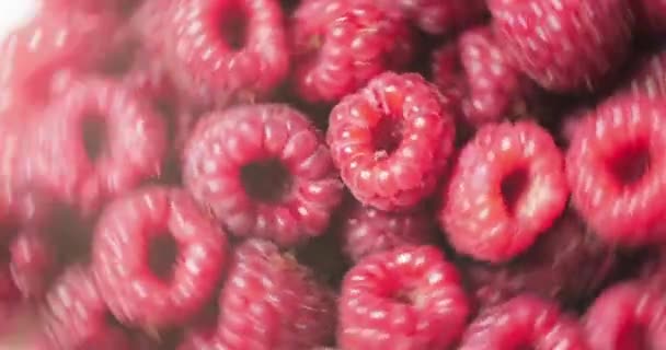 Close up rotatie loop bare Berry. Frisse, sappige framboos achtergrond, rijp. Macro rode frambozen fruit. Verse frambozen vruchten als voedsel Dackground. Gezond voedsel biologische voeding. — Stockvideo