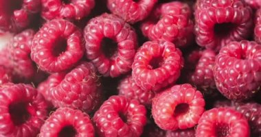 Yakın Rotasyon Loopable Berry. Taze, Sulu Ahududu Arka Plan, Olgun. Makro Kırmızı Ahududu Meyve. Gıda Dackground olarak Taze Ahududu Meyveler. Sağlıklı Gıda Organik Beslenme.