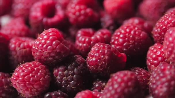 Close Up Berry. Fondo fresco y jugoso de frambuesa, maduro. Macro Red Raspberries Fruit. Frutas frescas de frambuesa como alimento Dackground. Alimento saludable Nutrición ecológica . — Vídeos de Stock