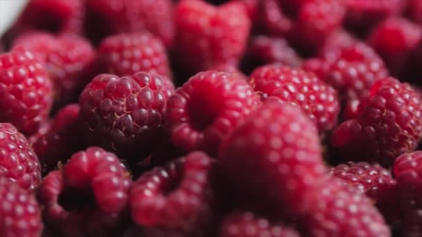 Close Up Berry. Fondo fresco y jugoso de frambuesa, maduro. Macro Red Raspberries Fruit. Frutas frescas de frambuesa como alimento Dackground. Alimento saludable Nutrición ecológica . — Vídeo de stock