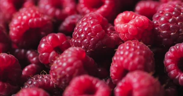 Close Up Berry. Fondo fresco y jugoso de frambuesa, maduro. Macro Red Raspberries Fruit. Frutas frescas de frambuesa como alimento Dackground. Alimento saludable Nutrición ecológica . — Vídeos de Stock