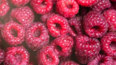 Yakın Rotasyon Loopable Berry. Taze, Sulu Ahududu Arka Plan, Olgun. Makro Kırmızı Ahududu Meyve. Gıda Dackground olarak Taze Ahududu Meyveler. Sağlıklı Gıda Organik Beslenme.