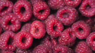 Yakın Rotasyon Loopable Berry. Taze, Sulu Ahududu Arka Plan, Olgun. Makro Kırmızı Ahududu Meyve. Gıda Dackground olarak Taze Ahududu Meyveler. Sağlıklı Gıda Organik Beslenme.