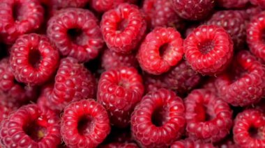 Yakın Rotasyon Loopable Berry. Taze, Sulu Ahududu Arka Plan, Olgun. Makro Kırmızı Ahududu Meyve. Gıda Dackground olarak Taze Ahududu Meyveler. Sağlıklı Gıda Organik Beslenme.