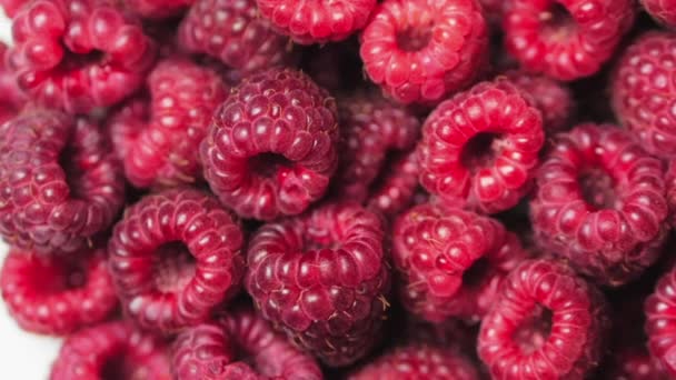 Close Up Rotation Loopable Berry. Fondo fresco y jugoso de frambuesa, maduro. Macro Red Raspberries Fruit. Frutas frescas de frambuesa como alimento Dackground. Alimento saludable Nutrición ecológica . — Vídeo de stock