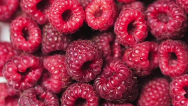 Bliska rotacji loopable Berry. Świeże, soczyste tło malinowe, dojrzałe. Makro czerwone maliny owoce. Świeże owoce malinowe jako Food Dackground. Zdrowa żywność Organic Nutrition. — Wideo stockowe