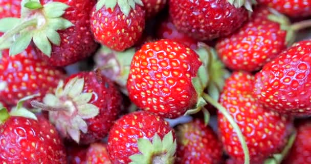 Vers fruit smakelijk en mooie aardbeien als voedsel achtergrond. Biologische gezonde rijpe aardbei voeding. — Stockvideo